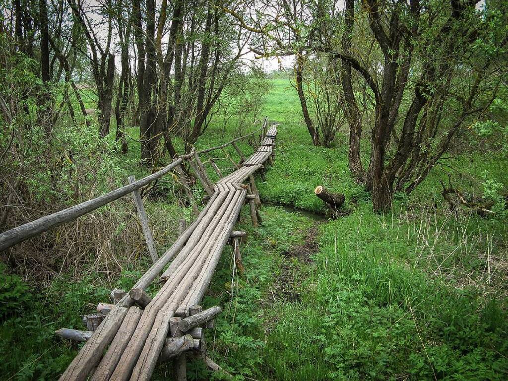 Дубровенский район Витебская область
Дубровенскі раён Віцебская вобласць