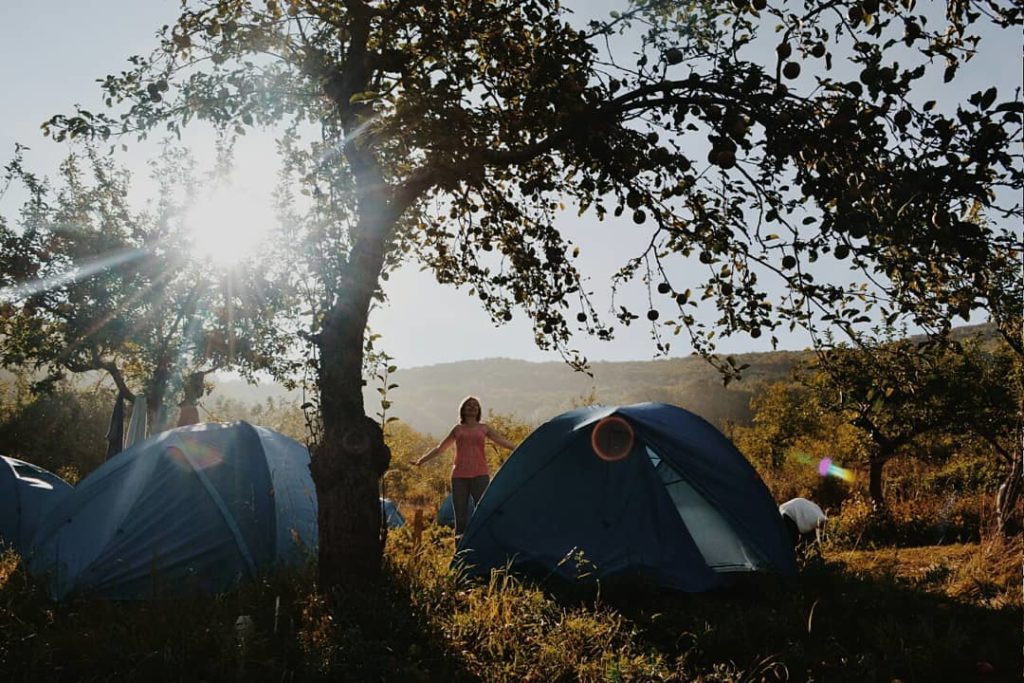 ВОЛОНТЕРСТВО В ECOСAMP